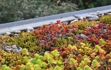 the cost of Surlingham green roof installation