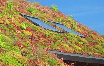 Surlingham living roof systems
