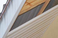 rated Surlingham soffit repair companies
